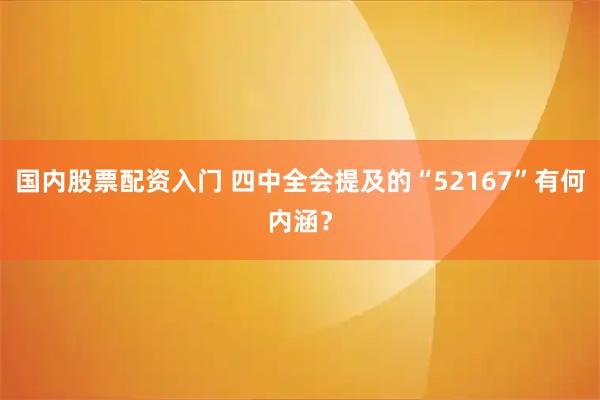 国内股票配资入门 四中全会提及的“52167”有何内涵？